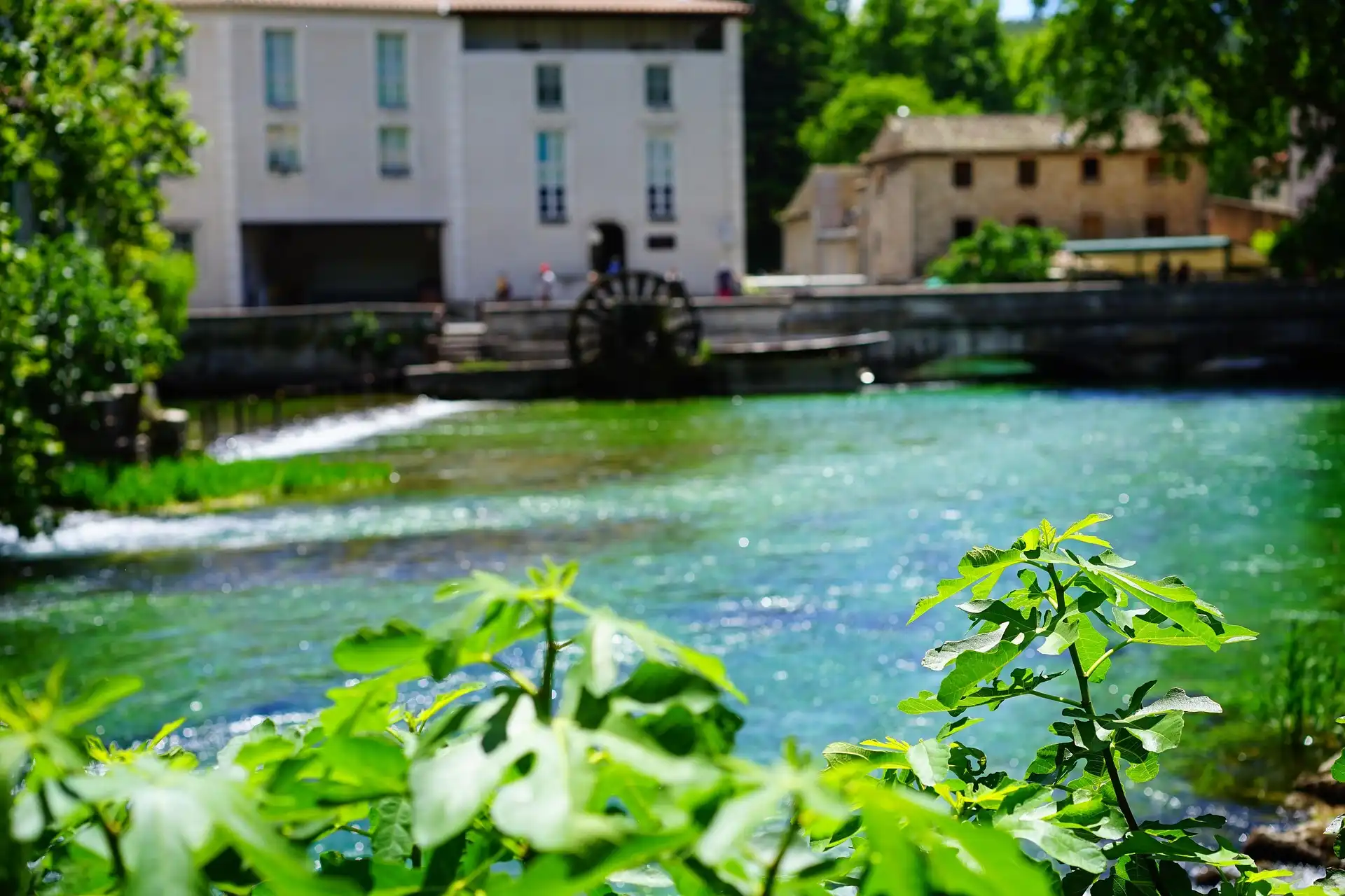 Peintre L'Isle-sur-la-Sorgue - La Sorgue à Fontaine de Vaucluse